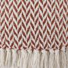 imageDII Modern Zig Zag Throw Blanket Woven Cotton HandKnotted 25quot Fringe 50x60 NaturalCinnamon