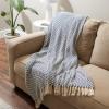 imageDII Modern Zig Zag Throw Blanket Woven Cotton HandKnotted 25quot Fringe 50x60 NaturalFrench Blue