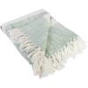 imageDII MidCentury Modern Slub Stripe Woven Throw Mint 50x60Mint