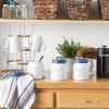 imageDII Kitchen Accessories Collection Ceramics Cookie Jar AquaBlue