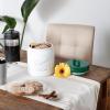 imageDII Kitchen Accessories Collection Ceramics Cookie Jar AquaDark Green