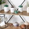imageDII Kitchen Accessories Collection Ceramics Cookie Jar AquaDark Green