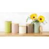 imageDII Kitchen Accessories Collection Textured Matte Ceramic Canister Set Mushroom Vine 3 PieceAntique White