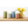 imageDII Kitchen Accessories Collection Textured Matte Ceramic Canister Set Mushroom Vine 3 PieceStorm Blue