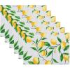 Reversible Placemat Set  13x19