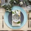imageDII Classic Woven Tabletop Collection IndoorOutdoor Placemat Set Round 15quot Diameter White 6 PieceRobbins Egg Blue