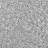 imageDII Classic Woven Tabletop Collection IndoorOutdoor Placemat Set Round 15quot Diameter White 6 PieceSilver Tinsel