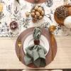 imageDII PVC Tabletop Collection Woven IndoorOutdoor Round Placemat Set 1375quot Nautical Blue 6 PieceCinnamon