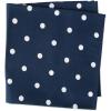imageDII Polka Dot Kitchen Collection Placemats 13x19 Metallic WhiteSilver Reversible 4 PieceNavyWhite