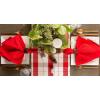 imageDII Solid Napkin Set Collection 20x20 Artichoke 6 PieceTango Red