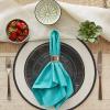 imageDII Solid Pastel Napkin Set Cotton Machine Washable 20x20 Inch Sky Blue 6 CountAqua Waters