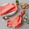 imageDII Solid Pastel Napkin Set Cotton Machine Washable 20x20 Inch Sky Blue 6 CountCoral Reef