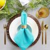 imageDII Solid Pastel Napkin Set Cotton Machine Washable 20x20 Inch Sky Blue 6 CountCozumel