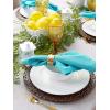 imageDII Solid Pastel Napkin Set Cotton Machine Washable 20x20 Inch Sky Blue 6 CountCozumel