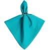 imageDII Solid Pastel Napkin Set Cotton Machine Washable 20x20 Inch Sky Blue 6 CountCozumel