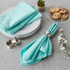 imageDII Solid Pastel Napkin Set Cotton Machine Washable 20x20 Inch Sky Blue 6 CountLight Aqua