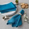 imageDII Solid Pastel Napkin Set Cotton Machine Washable 20x20 Inch Sky Blue 6 CountSky Blue