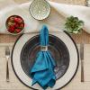 imageDII Solid Pastel Napkin Set Cotton Machine Washable 20x20 Inch Sky Blue 6 CountSky Blue