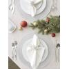 imageDII Woven Placemats Collection Metallic Round Placemat Set 15quot Champagne 4 PiecePlatinum Silver