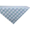 Light Blue & White