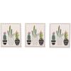 imageDII Swedish Dishcloths for Kitchen ampamp Cleaning Reusable Machine Washable ampamp Dishwasher Safe Biodegradable 775 x 675 Spooky 3 PieceSucculents