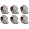 Silver Skull