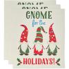 Gnome Holidays