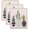Succulents