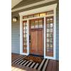 imageDII Natural Coir Outdoor Welcome Doormat Thanksgiving ampamp Fall Front Door Mat Porch Dcor 17x29 Give ThanksPumpkins Please