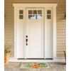 imageDII Natural Coir Outdoor Welcome Doormat Thanksgiving ampamp Fall Front Door Mat Porch Dcor 17x29 Give ThanksThankful Pumpkins
