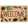 imageDII Natural Coir Outdoor Welcome Doormat Thanksgiving ampamp Fall Front Door Mat Porch Dcor 17x29 Give ThanksWelcome Autumn