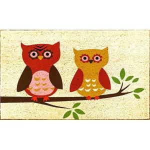 imageDII Natural Coir Outdoor Welcome Doormat Thanksgiving ampamp Fall Front Door Mat Porch Dcor 17x29 Give ThanksHarvest Owls