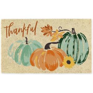 imageDII Natural Coir Outdoor Welcome Doormat Thanksgiving ampamp Fall Front Door Mat Porch Dcor 17x29 Give ThanksThankful Pumpkins