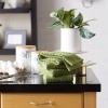 imageDII Basic Terry Collection Waffle Dishtowel Set 15x26 Solid Honey Gold 4 PieceSolid Antique Green