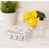 imageDII Scrubber Dishcloths Collection Windowpane Dishrag Set 12x12 WhiteRed Stripe 6 PieceWhiteBlack Stripe