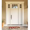 imageDII Natural Coir Doormat Fun Greeting Mat Bee Happy 18x30Party in the Back