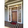imageDII Colorful Design Natural Coir Doormat 18x30 WatermelonLady Bug