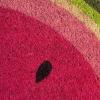 imageDII Colorful Design Natural Coir Doormat 18x30 WatermelonWatermelon