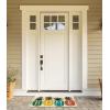 imageDII Heavy Duty Coir Doormat with Nonslip Vinyl Backing Welcome Mat Outdoor Entry Way ampamp Front Porch Dcor Home 17x29Pineapple Home