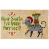 imageDII Christmas Coir Door Mat Outdoor Cat ampamp Dog Themed Doormat for Animal Lovers 17x29 Dear Santa Ive Been PurrfectDear Santa  Ive Been Purrfect