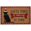 Santa Paws