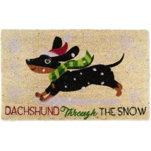 imageDII Christmas Coir Door Mat Outdoor Cat ampamp Dog Themed Doormat for Animal Lovers 17x29 Dear Santa Ive Been PurrfectDachshund Through the Snow