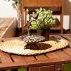 imageDII Cast Iron Collection Wall Mounted Birdfeeder Ornate 112x6x99Sunflower  7x7x83