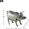 imageDII Galvanized Metal Collection Farm Animal Pig 16x5x95 IronPig  16x5x95
