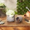 imageDII Planter Pot Collection DistressedWeathered Indoor ampamp Outdoor Cement for Plants or Flowers Small 39x394Large 625x625 Ancient Leaf 2 PieceBlack Scallop