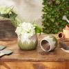 imageDII Planter Pot Collection DistressedWeathered Indoor ampamp Outdoor Cement for Plants or Flowers Small 39x394Large 625x625 Ancient Leaf 2 PieceGreek Leaf