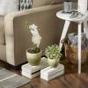 imageDII Planter Pot Collection DistressedWeathered Indoor ampamp Outdoor Cement for Plants or Flowers Small 39x394Large 625x625 Ancient Leaf 2 PieceMoss Green