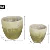 imageDII Planter Pot Collection DistressedWeathered Indoor ampamp Outdoor Cement for Plants or Flowers Small 39x394Large 625x625 Ancient Leaf 2 PieceMoss Green