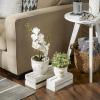 imageDII Planter Pot Collection DistressedWeathered Indoor ampamp Outdoor Cement for Plants or Flowers Small 39x394Large 625x625 Ancient Leaf 2 PieceWhite Washed Bee