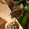 imageDII Cast Iron Collection Decorative Bird Bath Flower 575 x 575 x 29Aspen Leaf